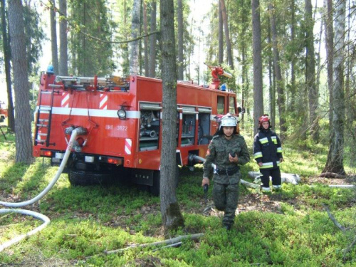 W dniu 10.05.2006 o godzinie 10:12 dyspozytor KP PSP w Brzegu powiadomił telefonicznie naczelnika OSP w Czepielowicach o pożarze lasu w miejscowości Śmiechowice. Po przybyciu na miejsce okazało się , że są to ćwiczenia pod kryptonimem „ Młodnik 2...