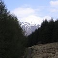 Szkocja - maj 2006