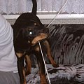 05.01.2004