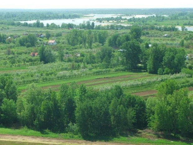 Widok ze szczytu Skarpy Dobrskiej