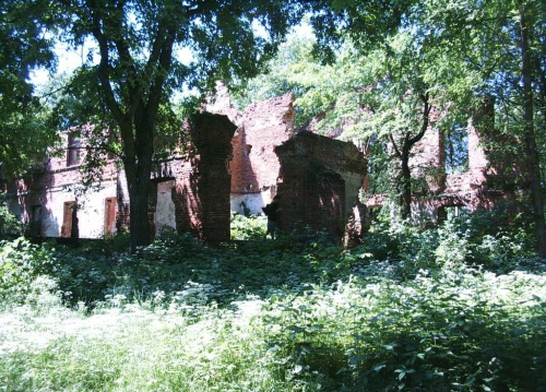 Ruiny Dworu