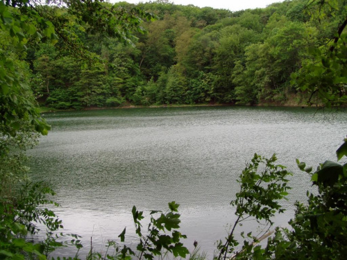 #DawnaKopalnia #krajobraz #PusczaBukowa #puszcza #PuszczaBukowa #spacer #szczecin #szmaragd #szmaragdowe #widok #Wiosna2006 #zdroje