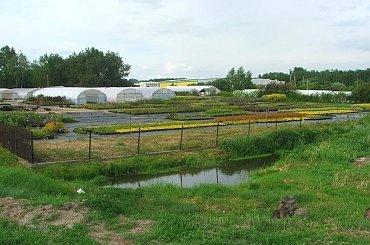 Młynki - gospodarstwo szkółkarskie #WycieczkaRowe #rowery #turystyka #Młynki