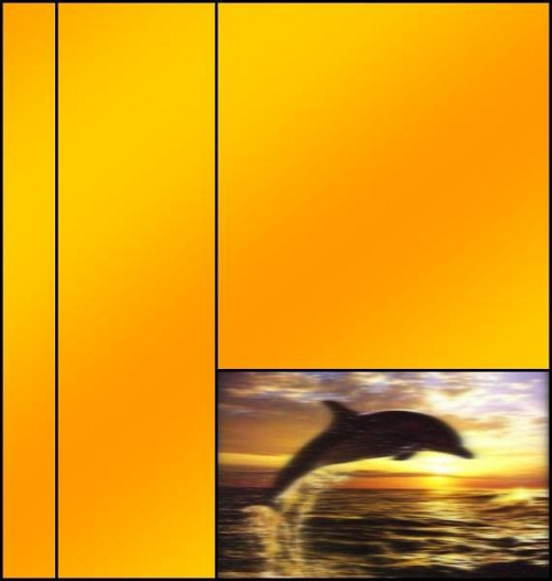 layout z delfinem