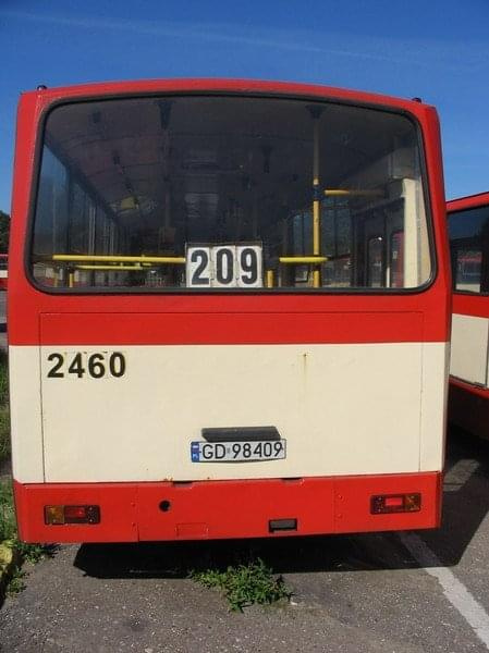 Moja kolekcja busów