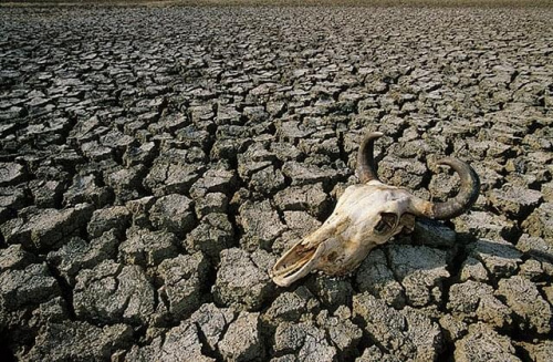 #brazylia #AmerykaPołudniowa