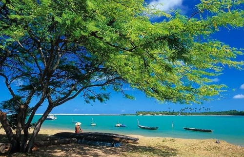 #brazylia #AmerykaPołudniowa