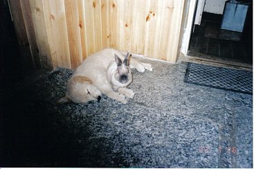 #Polowanie8 #ANaKkonniecPójdziemySobieSpać