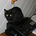 XX.08.2005 - SCD & LUCY