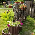 Mój kochany domek oraz moje piękne !! Podwóreczko #dom #Podwórko #ogród #kwiaty #kląmby #drzewa