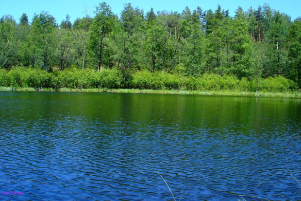 Jezioro Koci Łeb