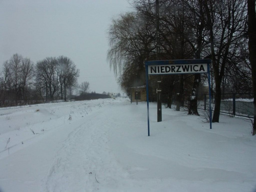 niedrzwica