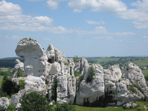 Podzamcze (Ogrodzieniec) - 02.07.2006 r.