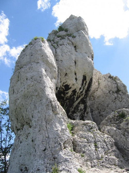 Podzamcze (Ogrodzieniec) - 02.07.2006 r.